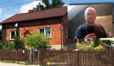 Teresa D. ukrywała Jacka Jaworka. Przełomowe zeznania ciotki przed sądem