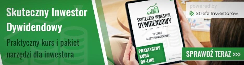 Skuteczny Inwestor Dywidendowy - kurs i pakiet narzędzi dla inwestora Skuteczny Inwestor Dywidendowy - kurs i pakiet narzędzi dla inwestora