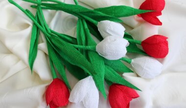 Narodowe Święto Niepodległości na ziemi chrzanowskiej. Zobacz program uroczystości i wydarzeń