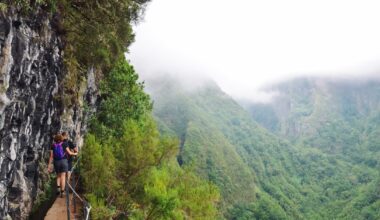31-letni Polak zaginął na Maderze. Rodzina apeluje o pomoc - Onet