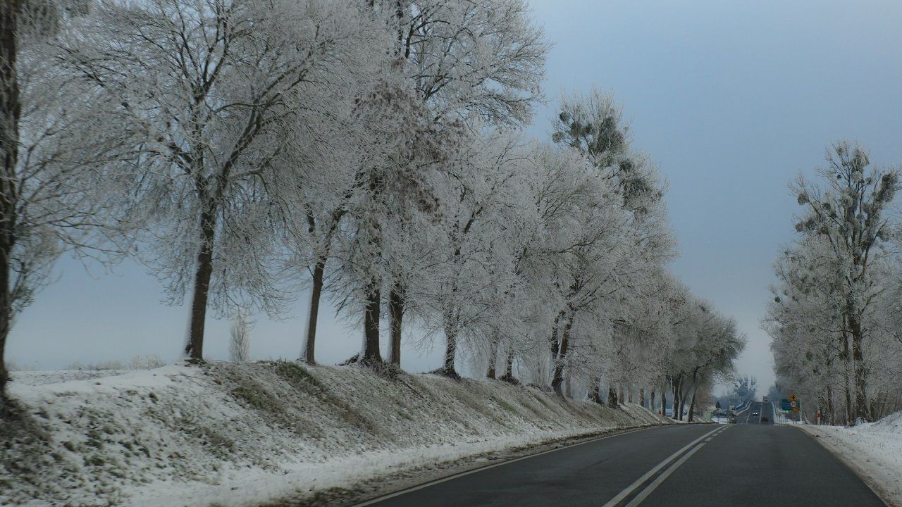 Zima w Polsce ma przyjść szybciej niż zwykle. Padła data, od kiedy spodziewać się śniegu