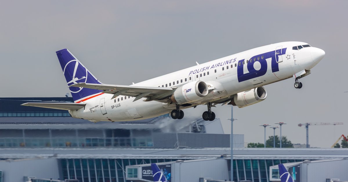 Doniesienia o załodze LOT-u i bojownikach Hamasu w jednym hotelu. Rzecznik linii dementuje - Onet