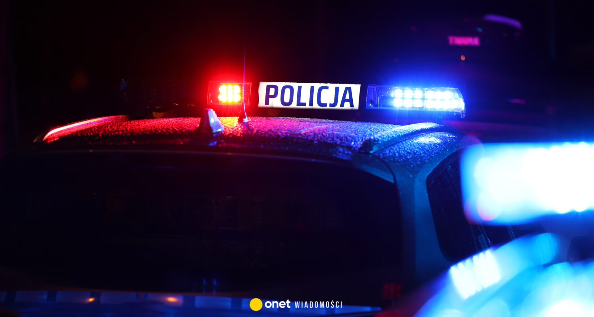 Strzały na posesji w Wielkopolsce. Trwa policyjna obława - Onet Wiadomości