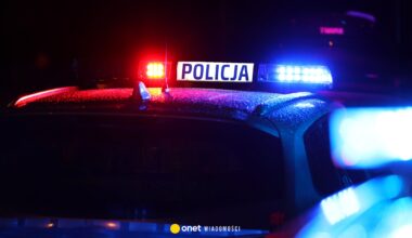 Strzały na leśnej drodze w Wielkopolsce. Koniec policyjnej obławy