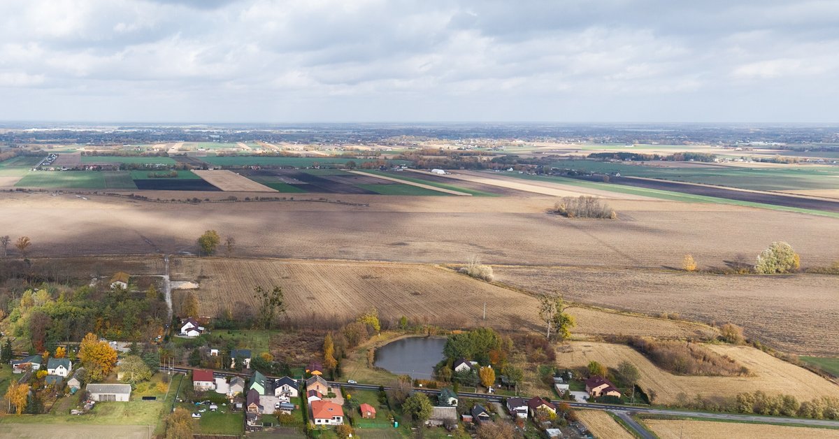 "Lecą głowy w KOWR!". To pokłosie afery z działką pod CPK