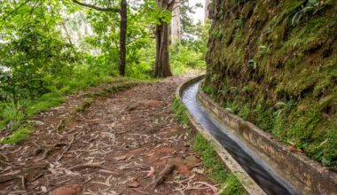 Śmierć polskiego turysty na Maderze. Nowe ustalenia policji