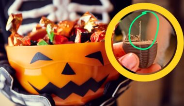 Znana stand-uperka znalazła igły w cukierkach dla jej córki. Zaapelowała od rodziców - Onet