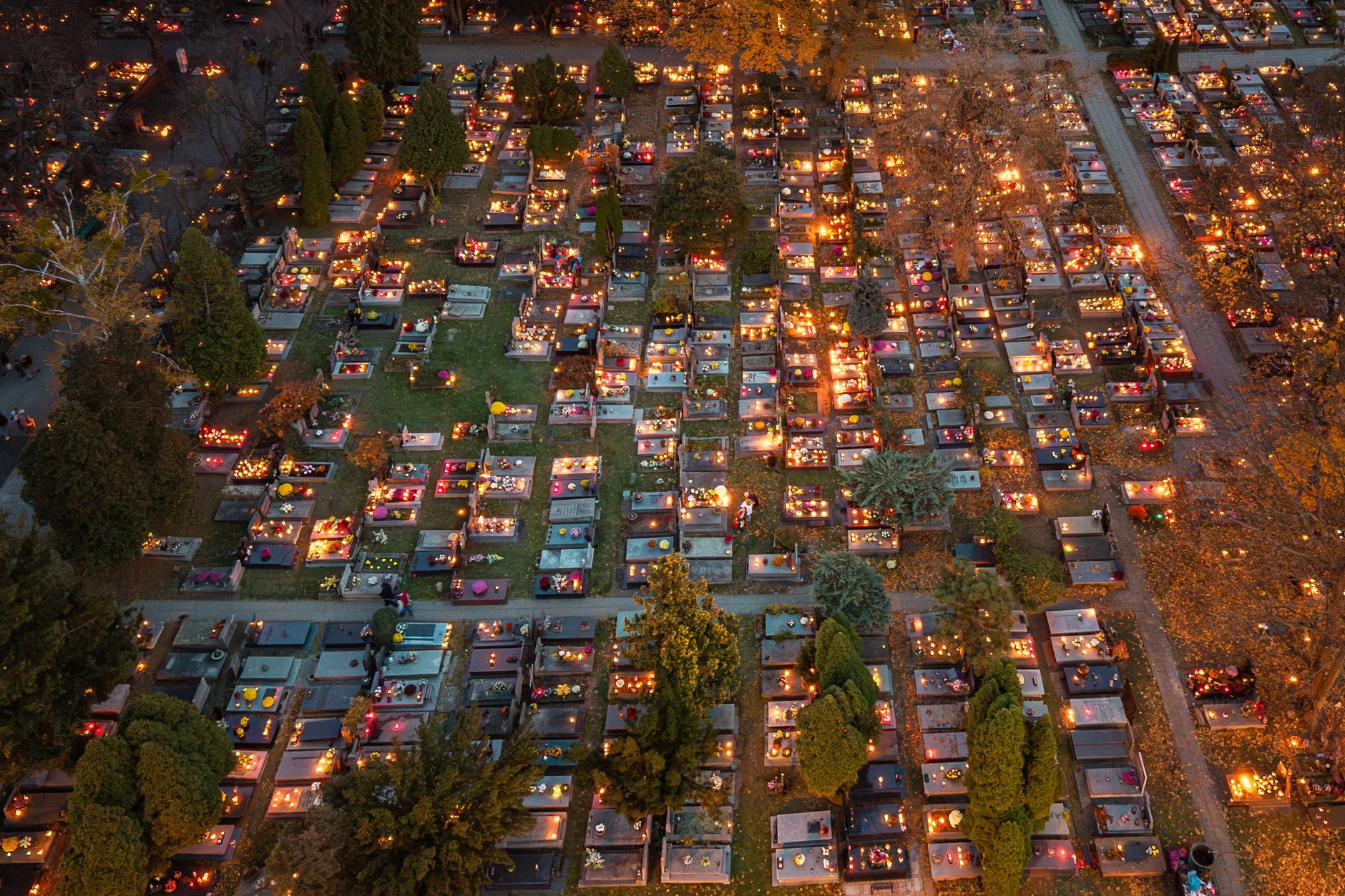 Cmentarz Powązkowski w Warszawie