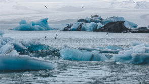 Znika w przerażającym tempie. Badacze ostrzegają przed skutkami