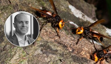 Tragedia podczas rodzinnych wakacji. Ojciec i syn zaatakowani na tyrolce