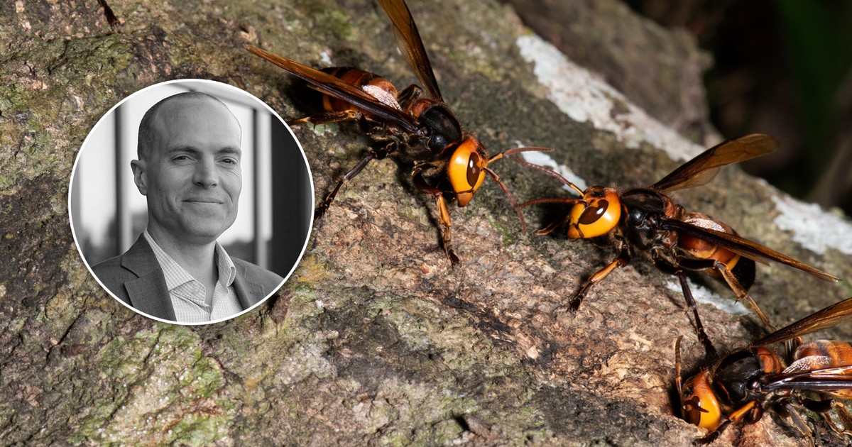 Tragedia podczas rodzinnych wakacji. Ojciec i syn zaatakowani na tyrolce