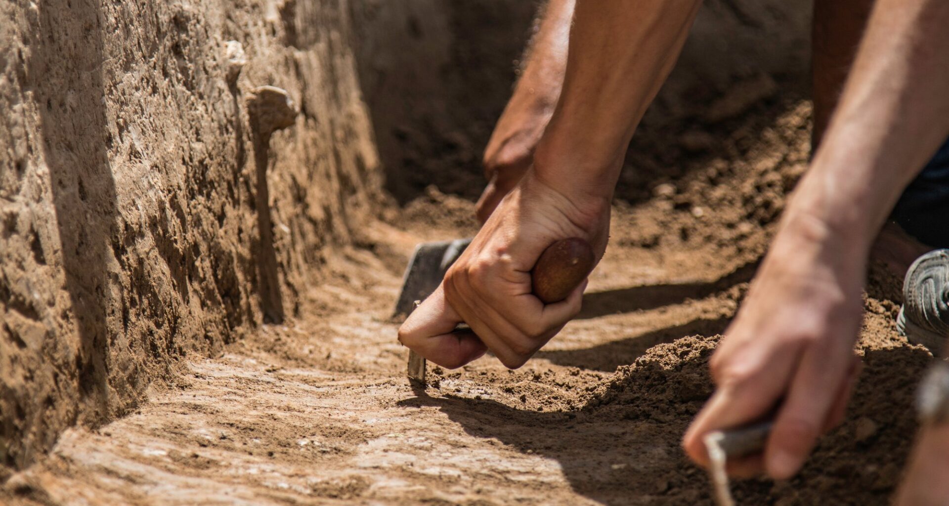 Jak praprzodkowie człowieka używali narzędzi? Nowe badanie może zmienić rozumienie ewolucji