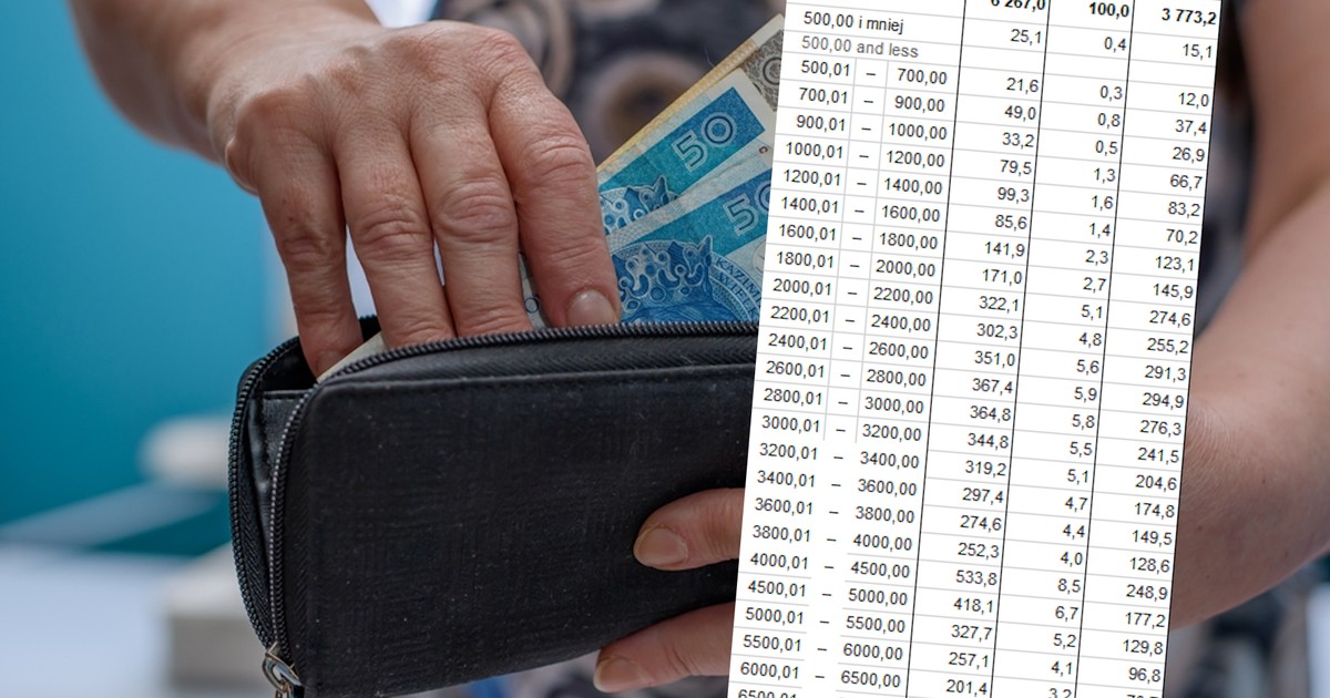 Emerytury w Polsce. Zobacz, ile osób dostaje do 1 tys., a ile ponad 7 tys. zł [TABELA]