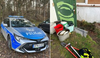 Nie widzieli go od pięciu dni. Makabryczne odkrycie. W altanie stało się coś strasznego