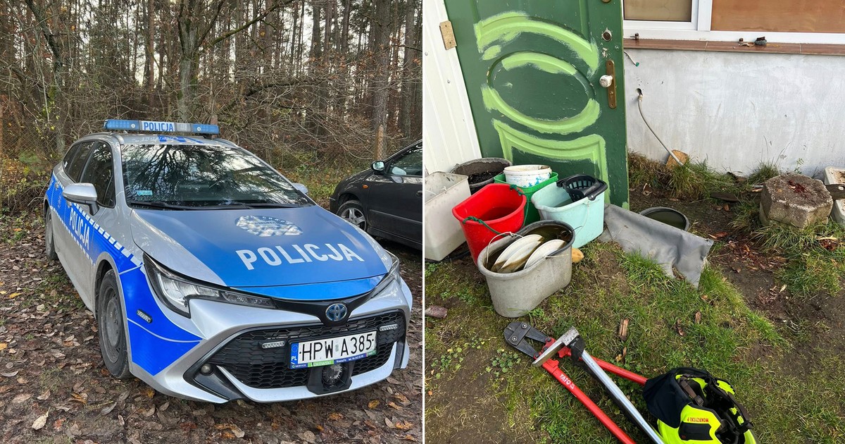 Nie widzieli go od pięciu dni. Makabryczne odkrycie. W altanie stało się coś strasznego