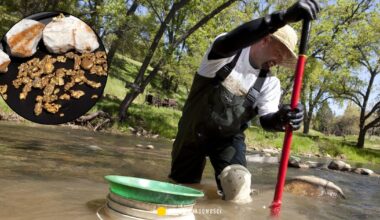 Nowa gorączka złota. Szczęściarze mogą się mocno wzbogacić