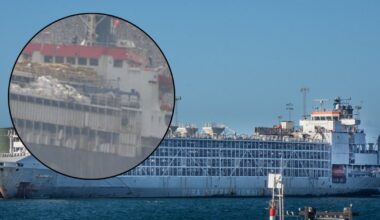 Statek z tysiącami krów utknął na otwartym morzu. Warunki "katastrofalne"