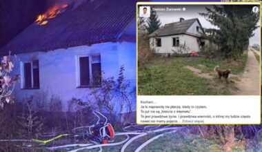 Wzruszająca historia psa z Radzynia Podlaskiego. Wierny czworonóg nie opuszcza zgliszczy