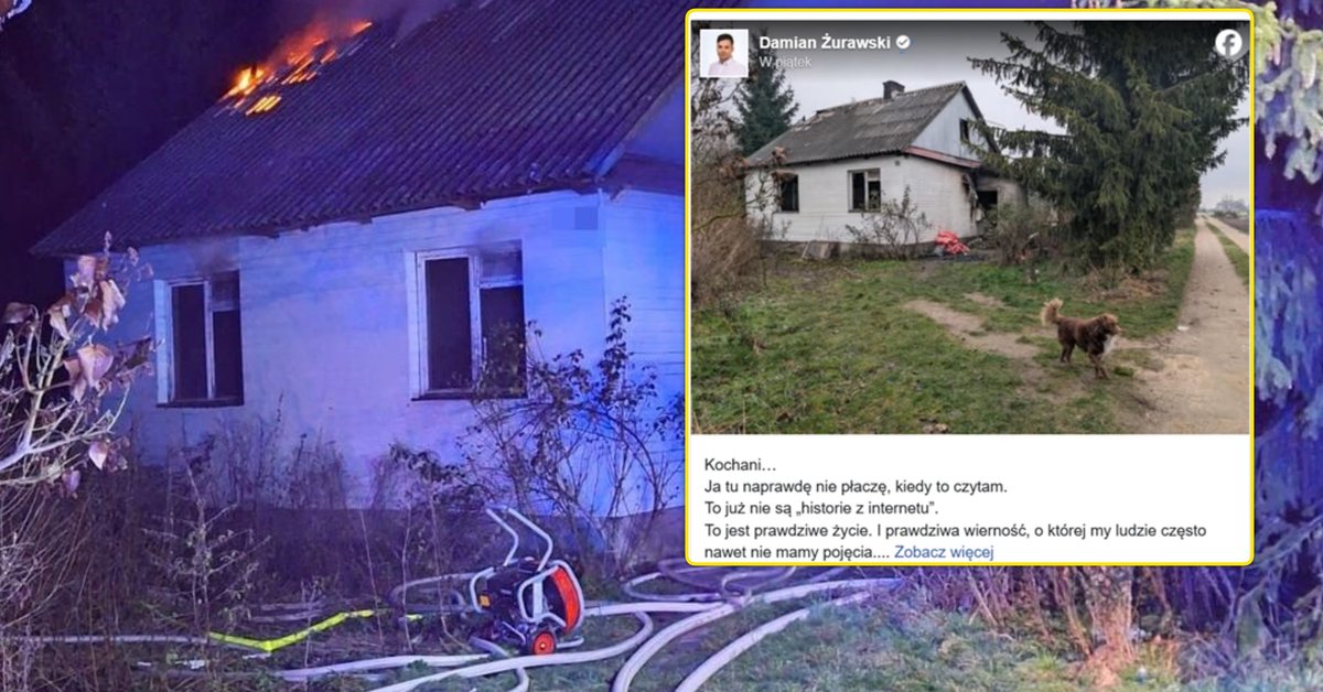 Wzruszająca historia psa z Radzynia Podlaskiego. Wierny czworonóg nie opuszcza zgliszczy