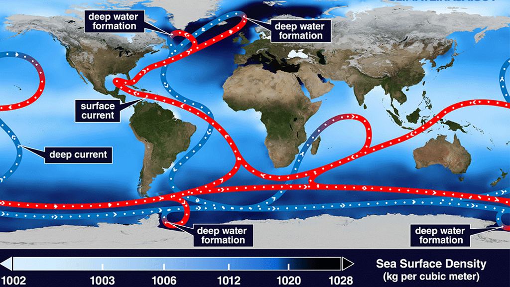 Uproszczony schemat cyrkulacji termohalinowej. Jej częścią na północnym Atlantycy jest AMOC