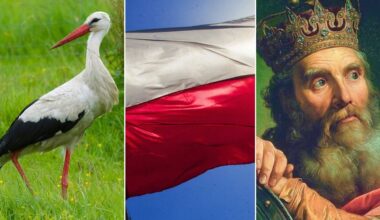 Wielki quiz wiedzy ogólnej o Polsce. Połowa punktów to już gigantyczny sukces! Ile zdobędziesz ty?