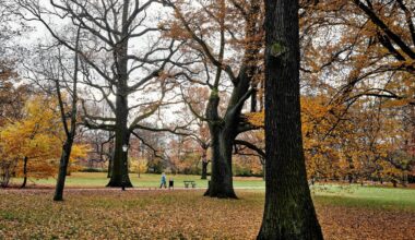 Złota aura na Wszystkich Świętych i 2 listopada. Po weekendzie przyjdzie ochłodzenie