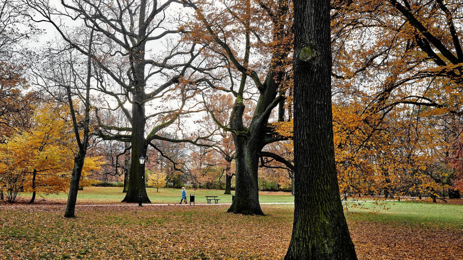 Złota aura na Wszystkich Świętych i 2 listopada. Po weekendzie przyjdzie ochłodzenie