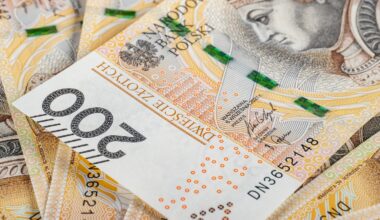 NaszEauto, dofinansowanie aut elektrycznych. Jak uzyskać dotację NaszEauto? Ile wniosków złożono?