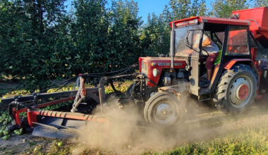 kombajn do zbioru jabłek przemysłowych