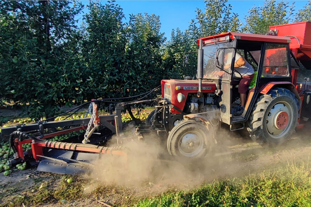 kombajn do zbioru jabłek przemysłowych