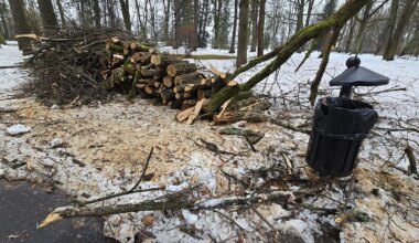 Zmasakrowany Park Miejski w Gorlicach. Ten widok przeraża [FOTO]