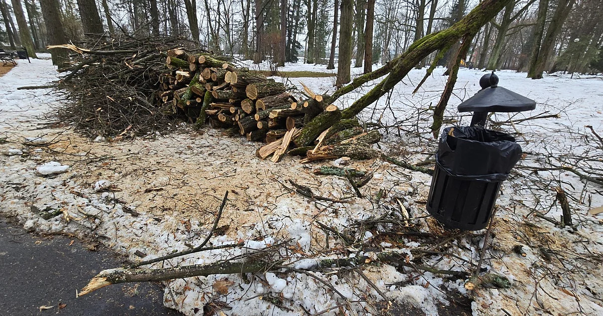 Zmasakrowany Park Miejski w Gorlicach. Ten widok przeraża [FOTO]