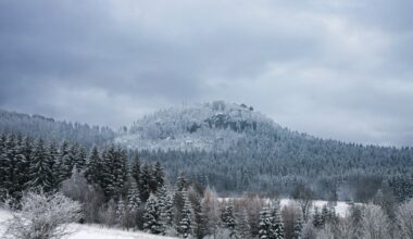 Przejdź na stronę główną INTERIA.PL