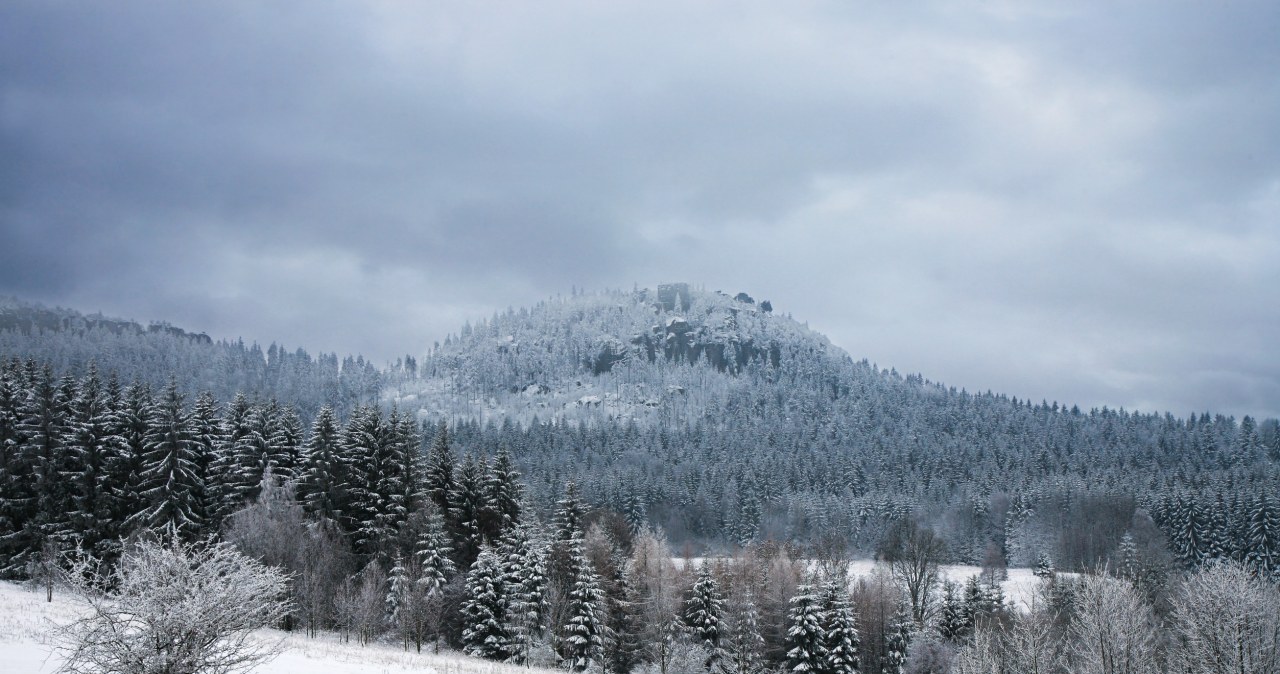 Przejdź na stronę główną INTERIA.PL