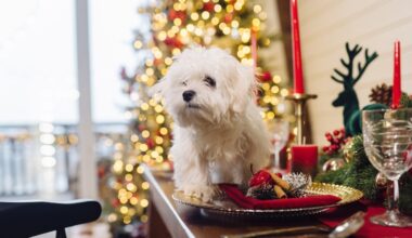 Przejdź na stronę główną INTERIA.PL