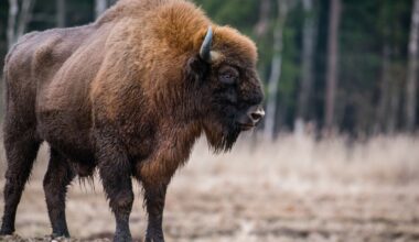 Przejdź na stronę główną INTERIA.PL