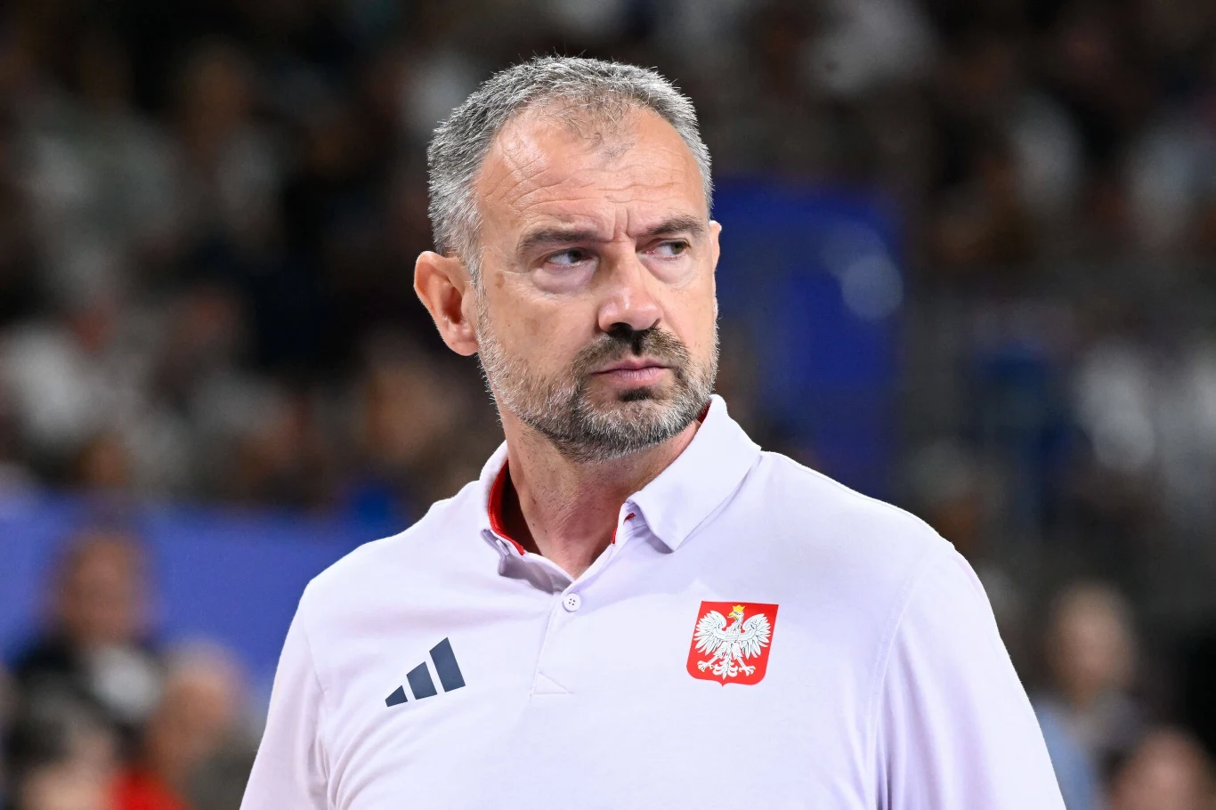 Nikola Grbić Nikola Grbić