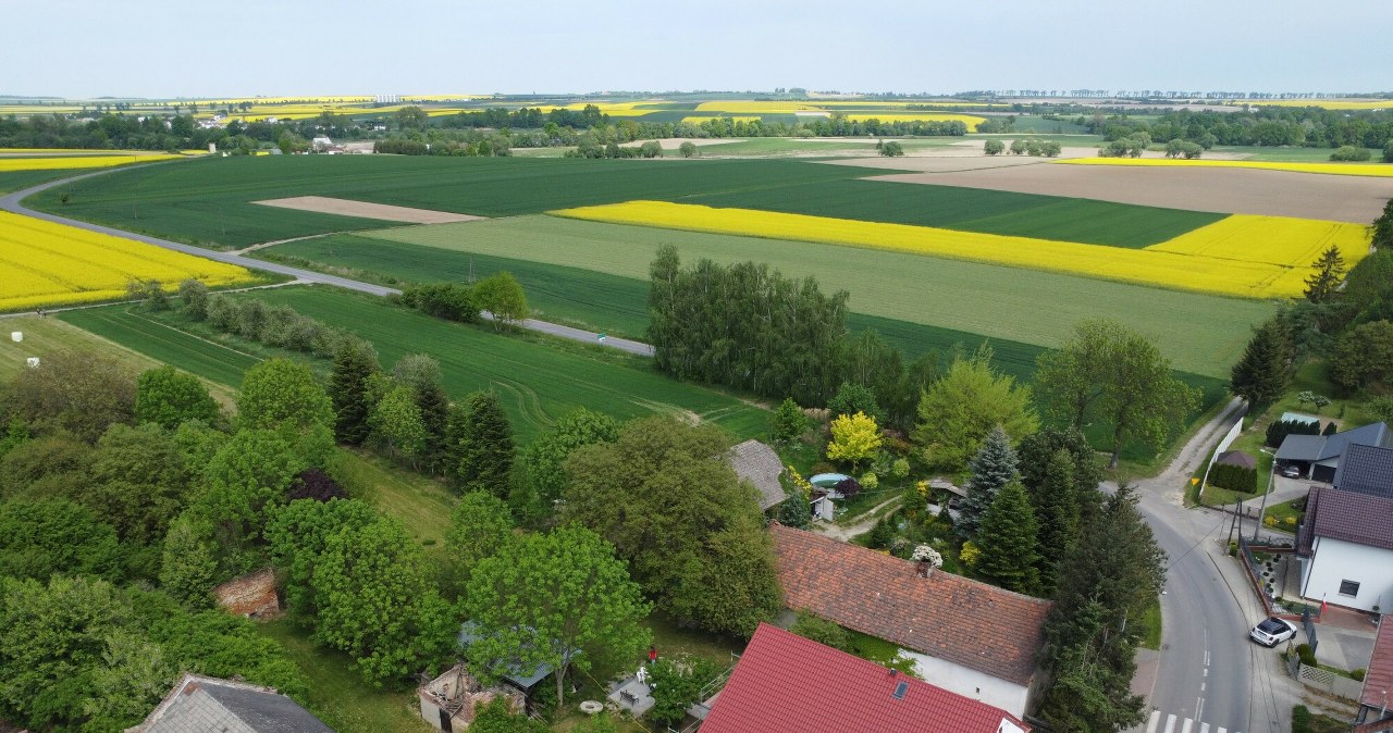 Przejdź na stronę główną INTERIA.PL