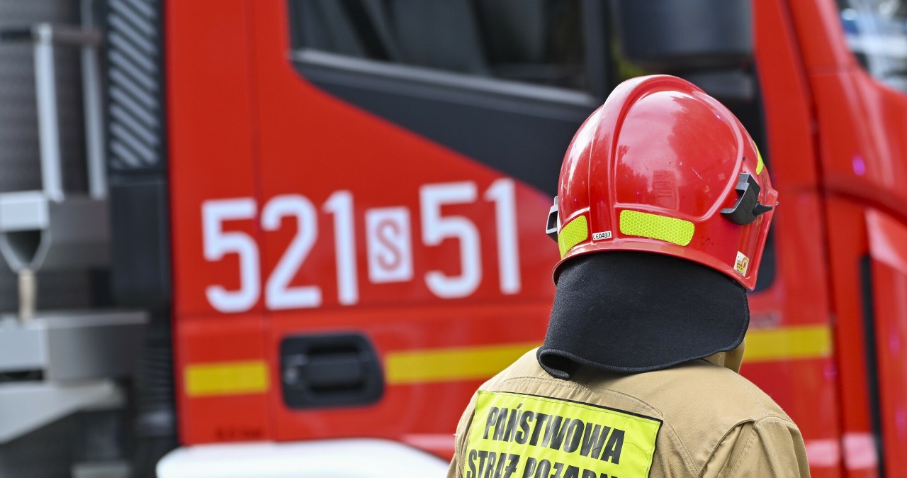 Przejdź na stronę główną INTERIA.PL