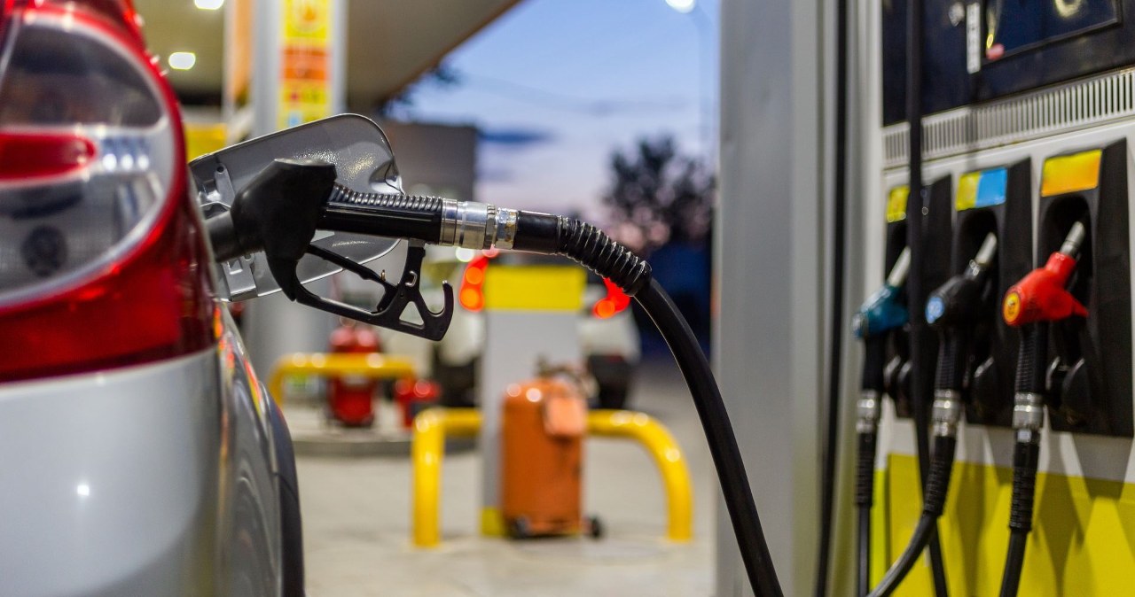 Przejdź na stronę główną INTERIA.PL