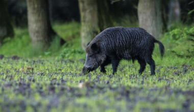 Przejdź na stronę główną INTERIA.PL