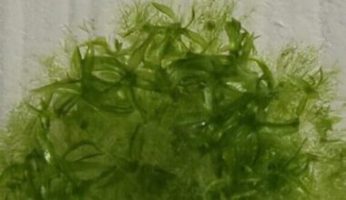 Muzyka podczas operacji poprawia wyniki zabiegi i przyspiesza rekonwalescencję