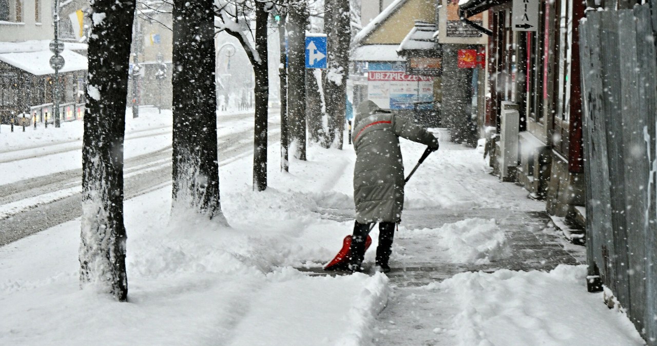 Przejdź na stronę główną INTERIA.PL