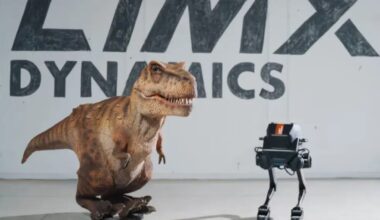 Popularne polskie lotnisko wraca do życia po 40 dniach przerwy