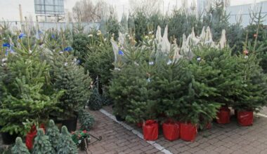 Przejdź na stronę główną INTERIA.PL