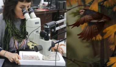 Przejdź na stronę główną INTERIA.PL