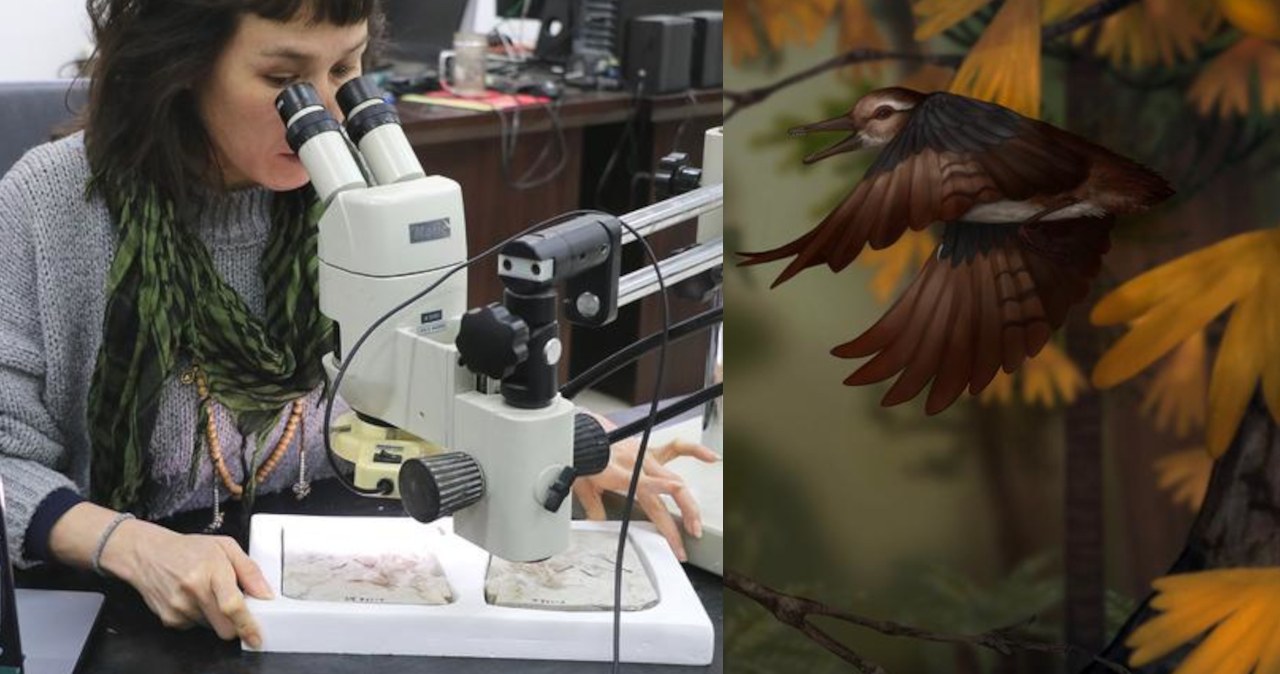 Przejdź na stronę główną INTERIA.PL