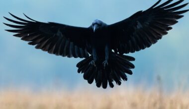 Przejdź na stronę główną INTERIA.PL