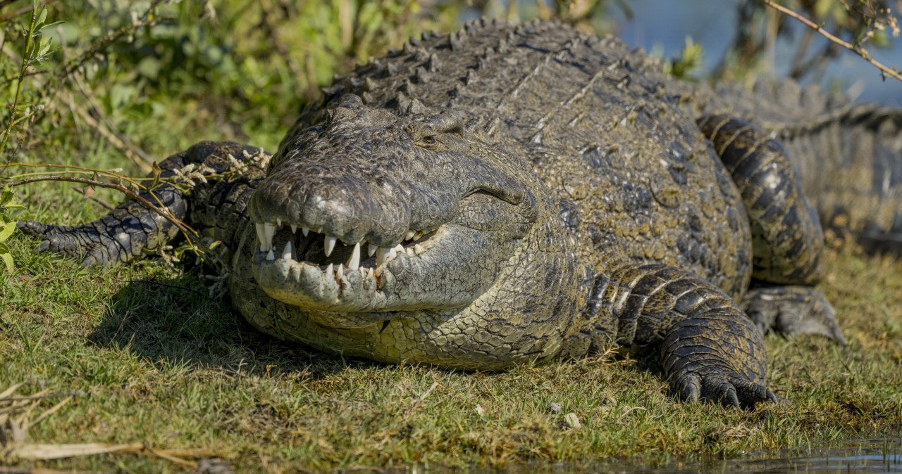 Przejdź na stronę główną INTERIA.PL
