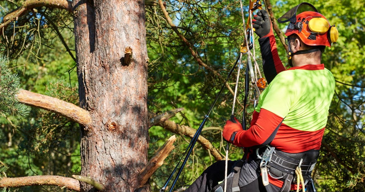 Przejdź na stronę główną INTERIA.PL